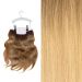 Коса На Щипки Balmain Clip-In Weft Amsterdam 8G.9G/10A 40См