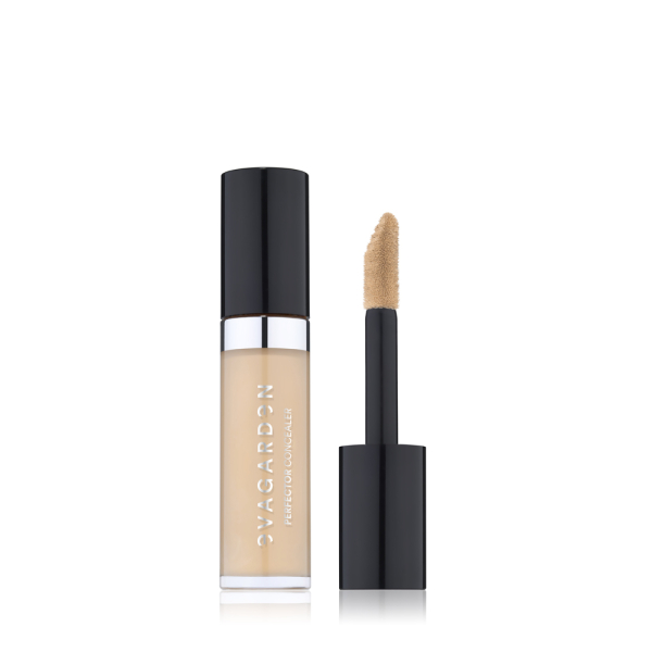 Коректор EVAGARDEN Perfector Concealer