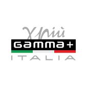 GAMMA+