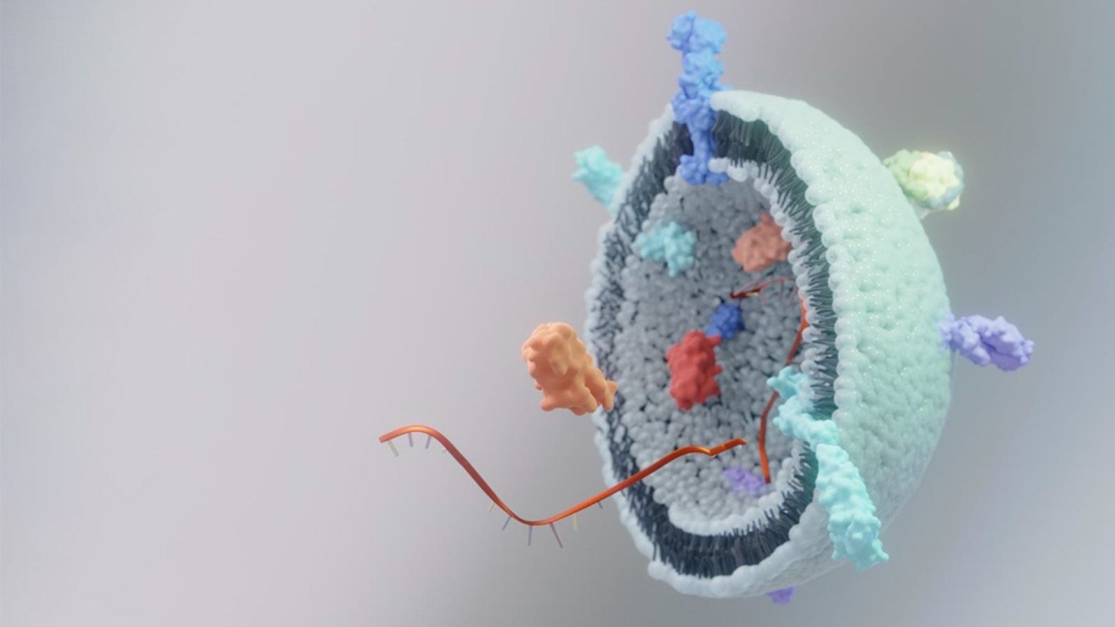 Какво представляват така нашумелите екзозоми?